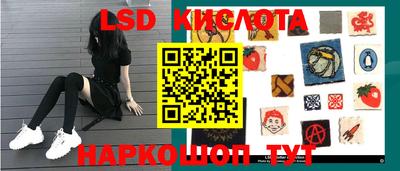 шишки Изобильный