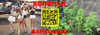 шишки Изобильный