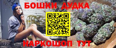 шишки Изобильный
