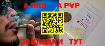 шишки Изобильный